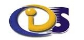 Diverse Solutions Logo